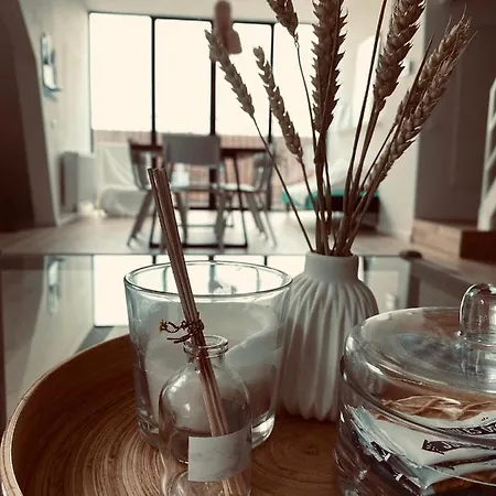 Lichtrijke Loft Bij Restaurant Den Olifant *