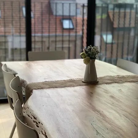 Lichtrijke Loft Bij Restaurant Den Olifant